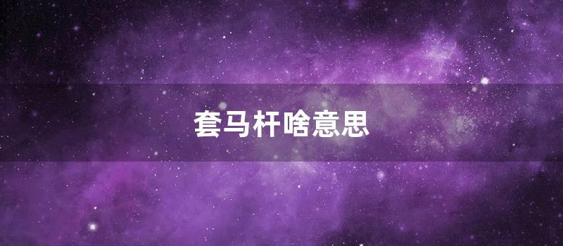 套马杆啥意思 (套马杆的汉子啥意思)