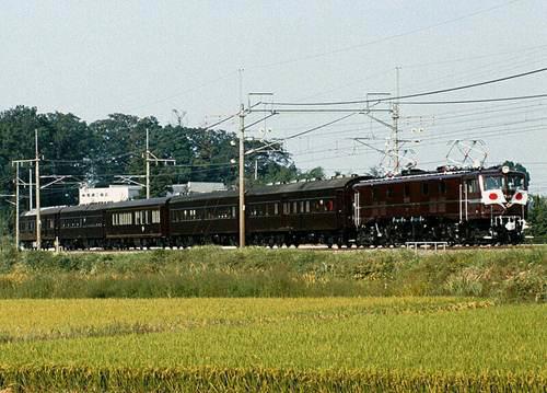 日本铁道车辆科普 E655系特急电车