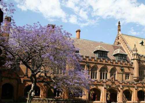 去美国留学的条件是什么 不看后悔死