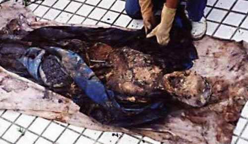 2005年四川南充僵尸事件是真的吗