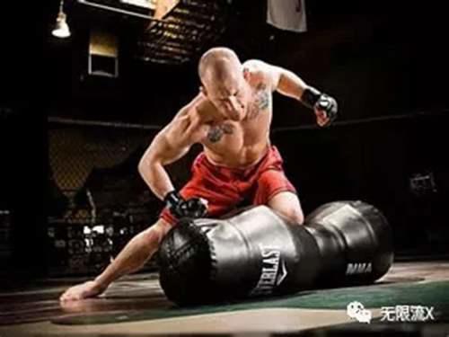 世界综合格斗 MMA 技术发展史