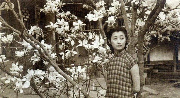 完颜立童记王敏彤资料介绍(被称为最美清朝格格)