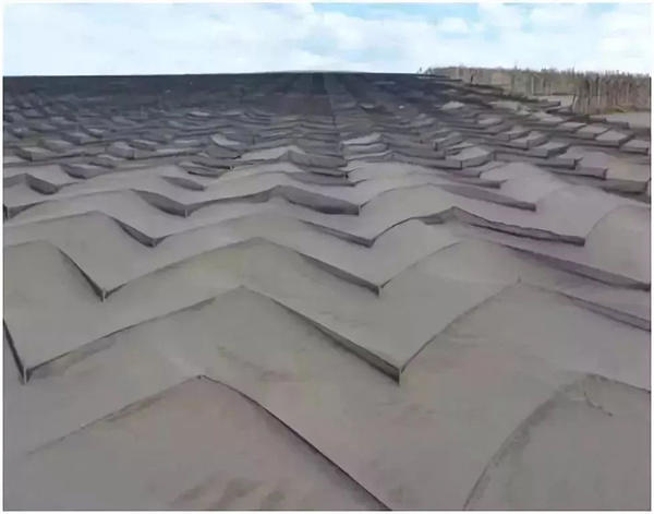 郑晓静院士资料简介(对国家做出了杰出贡献的女院士)