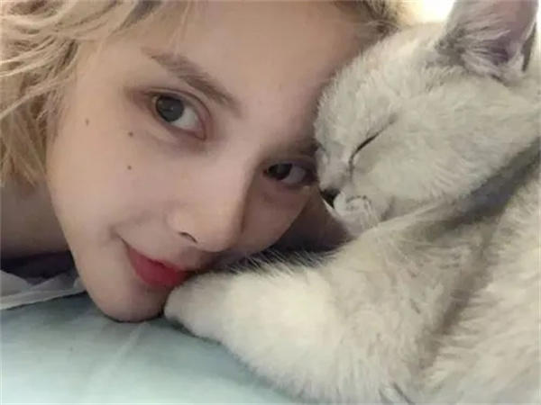 网红杀马特鼻祖沉珂个人资料介绍(如今复出显荒诞)