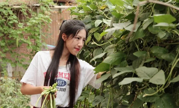 麦小登的个人资料介绍(被央视点名称赞的农村女孩)