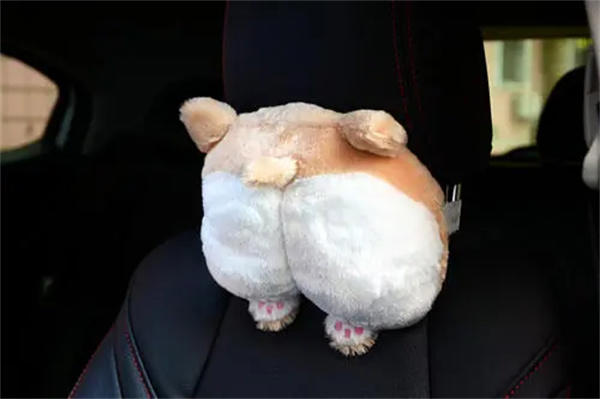 可爱屁个人资料介绍(很多人好奇真人长什么样)