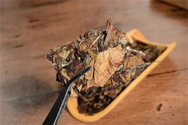 贡眉白茶是什么茶(并不是次级寿眉)