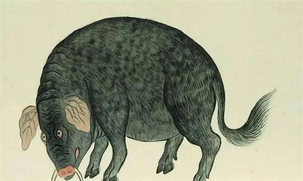 封豕长蛇是什么意思(很多人不懂)