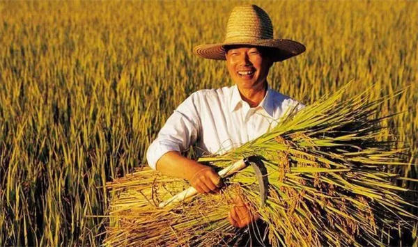 专家提议农民交农业税(网友说你这不是找骂吗)