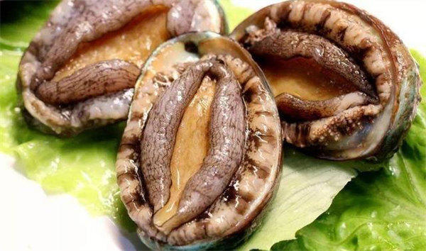 吃鲍鱼服务员问要几头鲍是什么意思(这样回答专业又不尴尬)