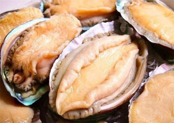 吃鲍鱼服务员问要几头鲍是什么意思(这样回答专业又不尴尬)