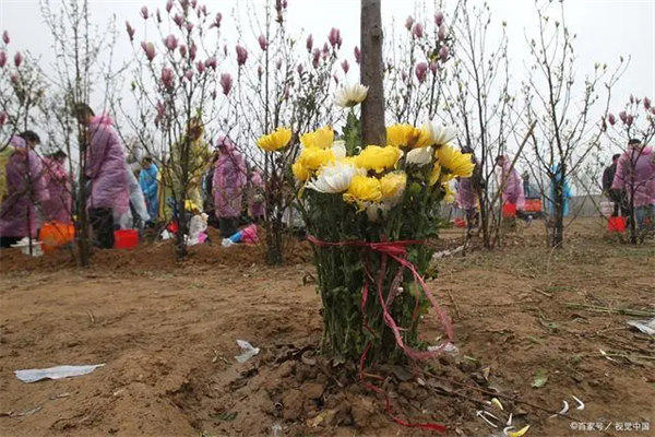 老话说闰月清明不上坟什么意思有道理吗(有人说是迷信)