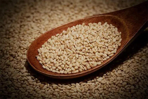 芝麻女孩是什么意思(密集恐惧症千万别搜图片看)