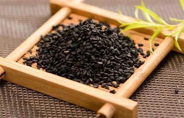 芝麻女孩是什么意思(密集恐惧症千万别搜图片看)