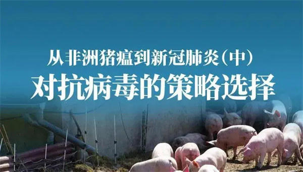 新冠与非洲猪瘟有什么共同点(传染病的威力一定不能小觑)