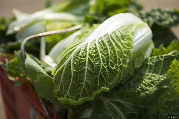 大雪节气适合吃什么食物(老话说大雪吃五鲜)