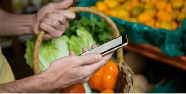 懒人经济的未来发展趋势(懒人经济只能说有利有弊)