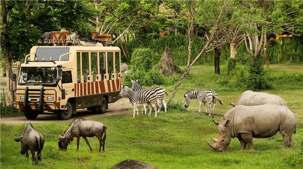 郑州附近一日游适合全家人去的地方(这10个景点去的人最多)