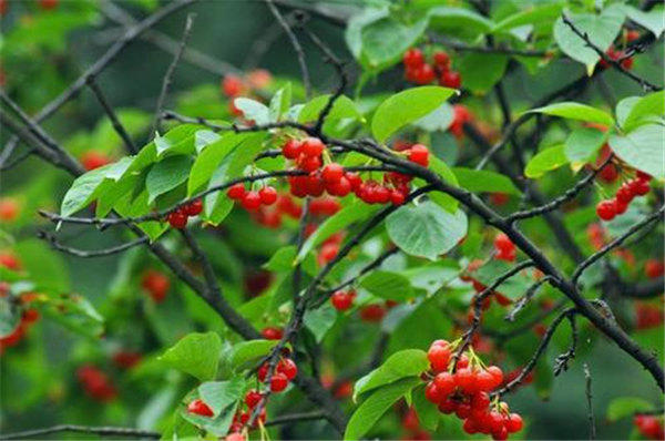 郑州附近一日游适合全家人去的地方(这10个景点去的人最多)