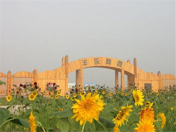 郑州附近一日游适合全家人去的地方(这10个景点去的人最多)