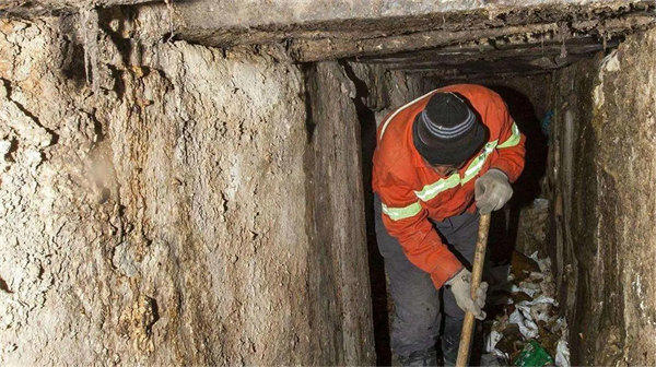 城市里的粪便都是怎么处理的(是不是很好奇为什么消失的这么彻底)