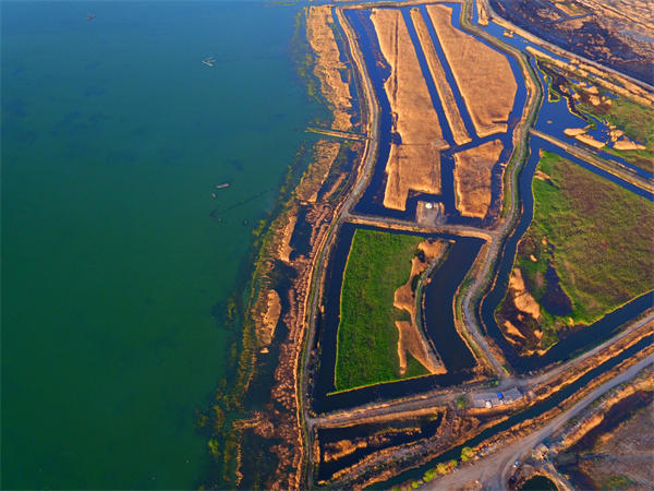 新疆最大湖泊博斯腾湖介绍(没去过的或打算去的一定要了解)