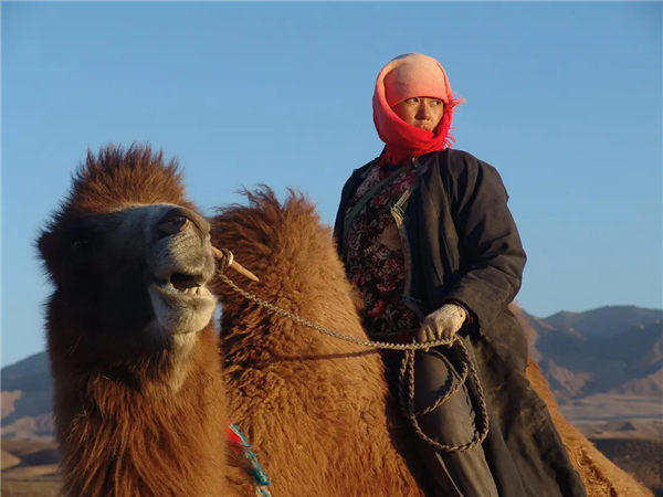 国产小众高分电影《图雅的婚事》影评，颠覆了婚姻家庭