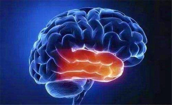 喝什么可以预防脑梗、脑溢血、疏通血管？家里有病人的必看