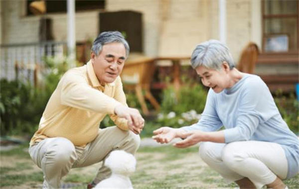 丁克家庭的不幸结局最后都怎样了(有些其实过得挺好)