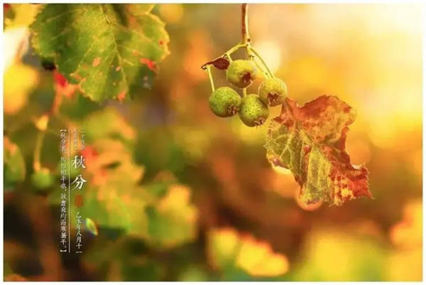 提醒秋分五大注意事项(尤其老年人要注意)