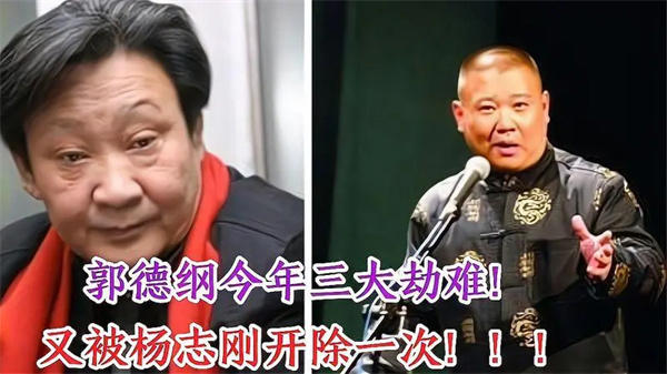 郭德纲与杨志刚事件始末咋回事(说啥的都有)