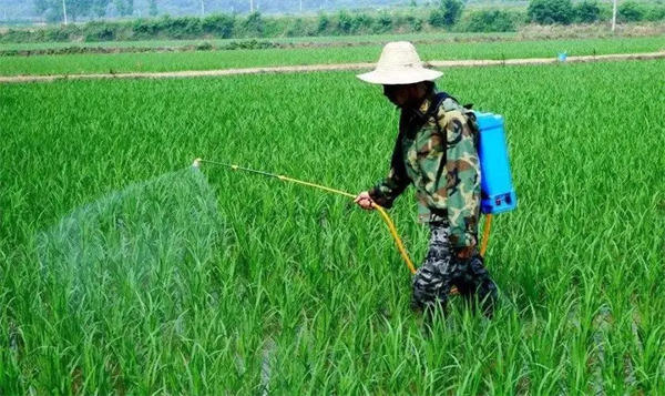 除草剂功效怎么提高(看完你就懂怎么打药了)