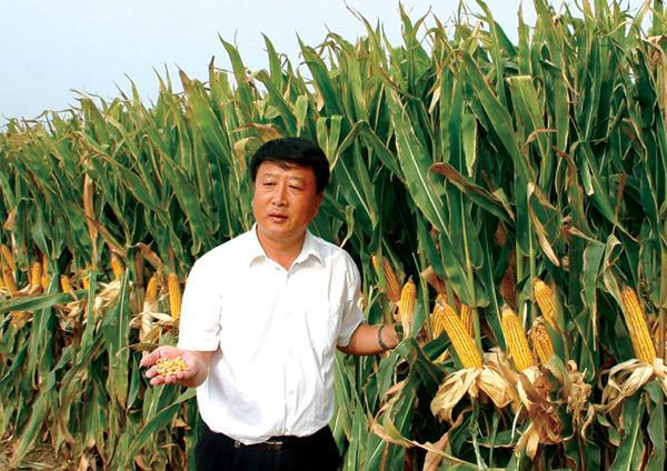 登海种业公司简介(这样的巨头公司值得国人自豪)