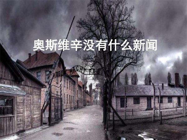 奥斯维辛没有什么新闻教案赏析(一线名师的教案设计)