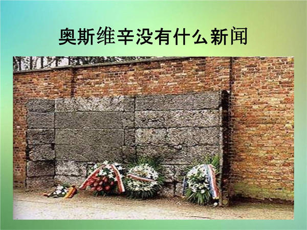 奥斯维辛没有什么新闻教案赏析(一线名师的教案设计)