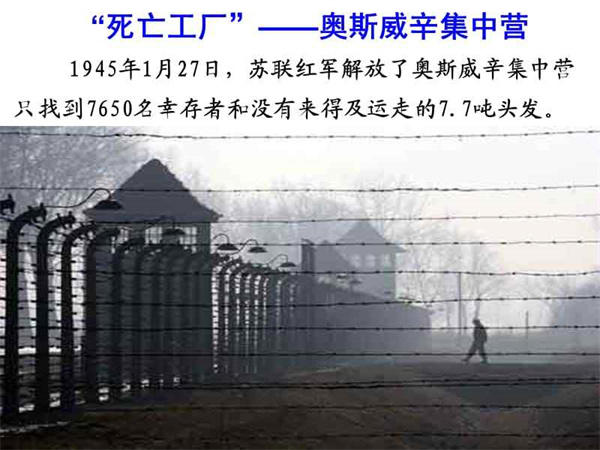 奥斯维辛没有什么新闻教案赏析(一线名师的教案设计)