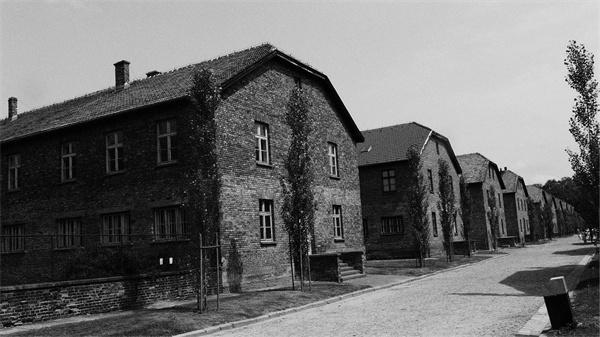 奥斯维辛没有什么新闻教案赏析(一线名师的教案设计)