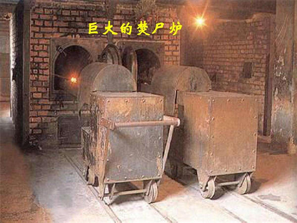 奥斯维辛没有什么新闻教案赏析(一线名师的教案设计)