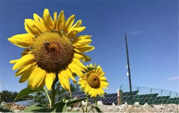 退休工人死亡丧葬费是多少钱(很多人不知道有这笔钱)