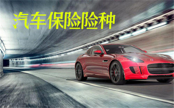 汽车保险怎么买划算合适(这几种汽车保险必须得买)