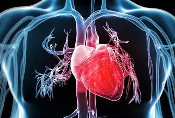 高血压不想脑溢血最好最好不要碰哪些食物(高血压患者必看)