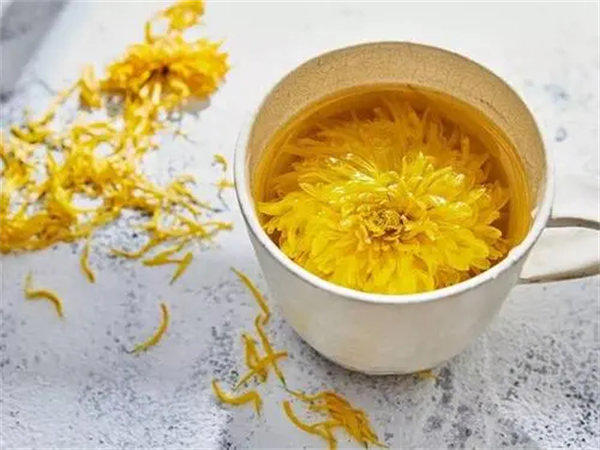菊花茶的功效与作用(喝菊花茶对身体有哪些好处)