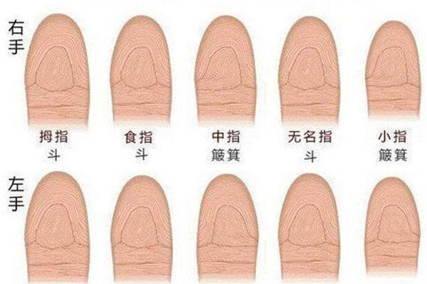 手上没有斗代表什么意思(手上没有斗对男人女人意义不一样)