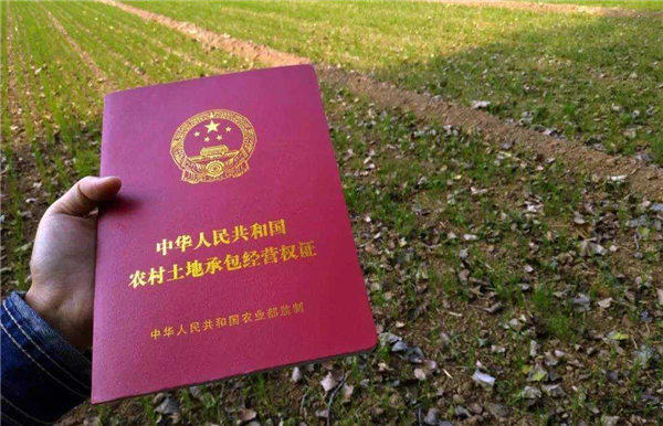 揭秘90年代农转非户口政策(以前农转非户口很多人是吃亏的)