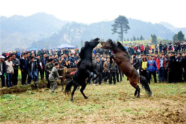 农村趣事杂谈(这种农村事简直震三观)