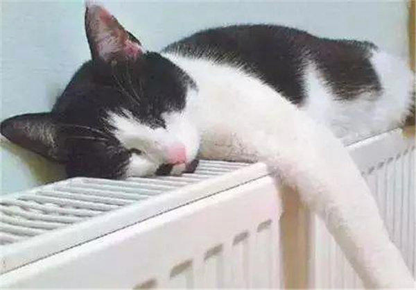 不交暖气费蹭楼上楼下邻居暖气(这种人还理直气壮太气人)