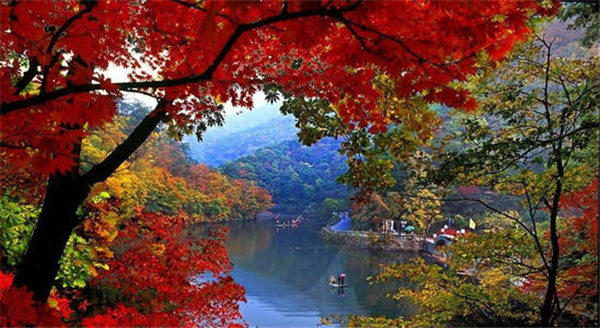 本溪这个辽宁的地级市怎么样(全方位介绍一下本溪)