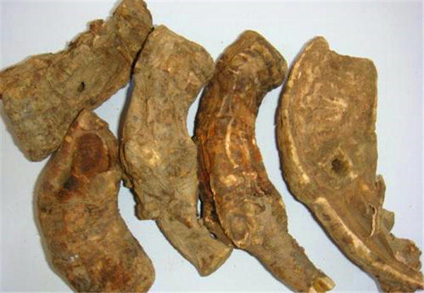 “人参杀人人不知，大黄救人人不用”是什么意思(中药有时也有害)