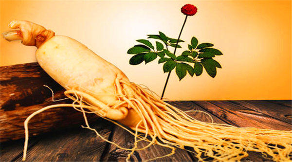 “人参杀人人不知，大黄救人人不用”是什么意思(中药有时也有害)