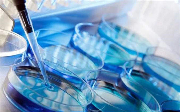 试管婴儿的寿命能活到多少岁？其实技术已经很成熟了